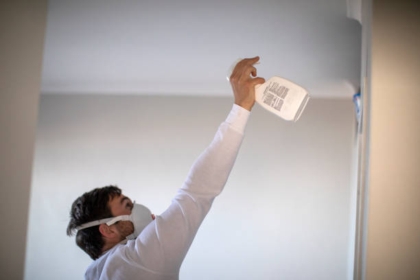 Best Residential Mold Removal  in Loomis, CA