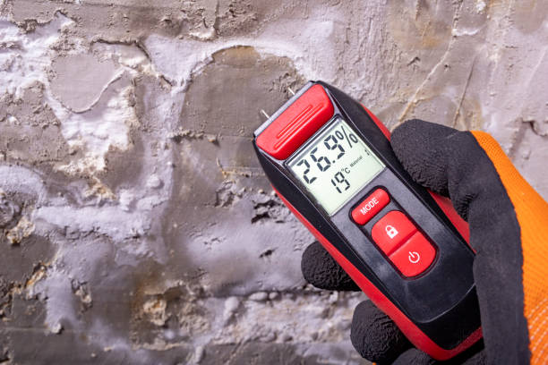 Best Office Mold Removal Services  in Loomis, CA