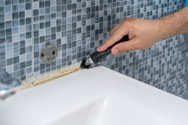 Best Mold Removal Near Me  in Loomis, CA