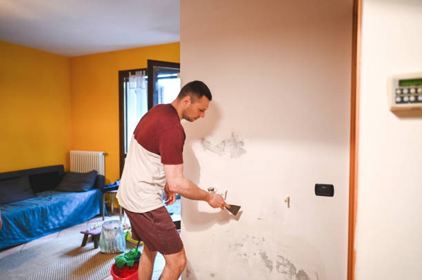 Best Office Mold Removal Services  in Loomis, CA